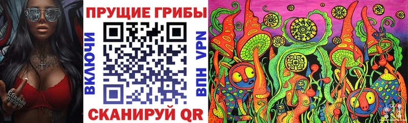 omg ССЫЛКА  Катайск  Псилоцибиновые грибы Magic Shrooms  сколько стоит 